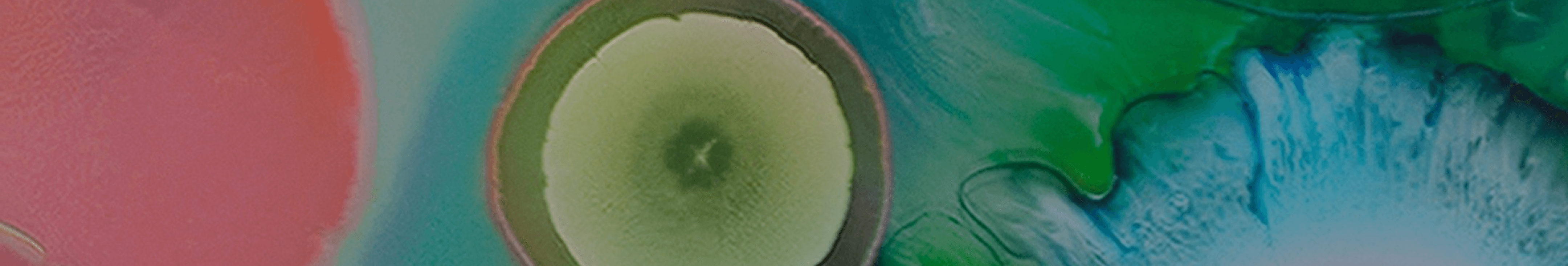 Newsletter background