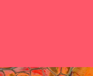 Clinical Evidence Summary- Immune health & L. CASEI 431®